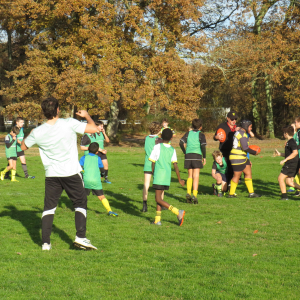 Image de Ecole de rugby 