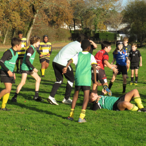 Image de Ecole de rugby 