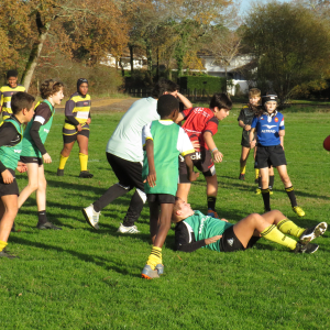 Image de Ecole de rugby 