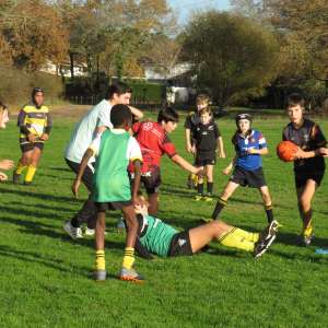 Image de Ecole de rugby 