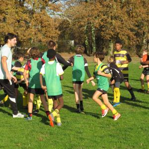 Image de Ecole de rugby 