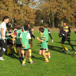 Image de Ecole de rugby 