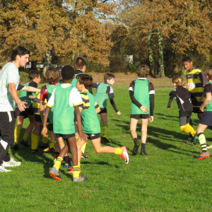 Image de Ecole de rugby 