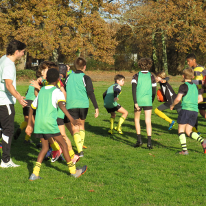 Image de Ecole de rugby 