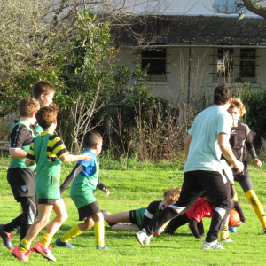 Image de Ecole de rugby 