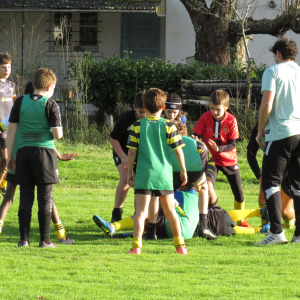 Image de Ecole de rugby 