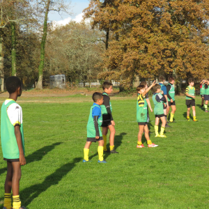 Image de Ecole de rugby 