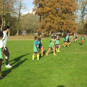 Image de Ecole de rugby 