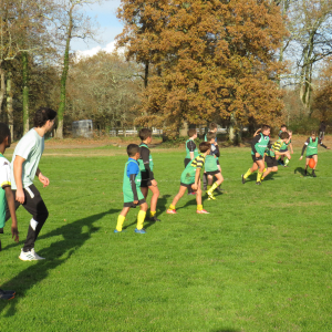 Image de Ecole de rugby 