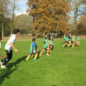 Image de Ecole de rugby 