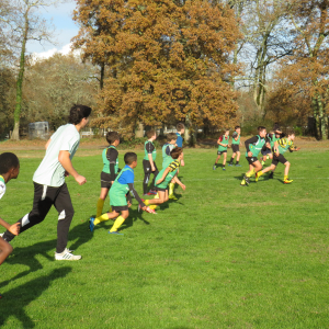 Image de Ecole de rugby 