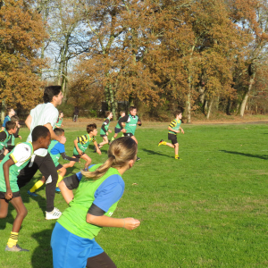 Image de Ecole de rugby 