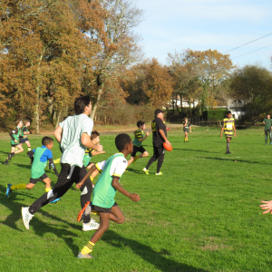 Image de Ecole de rugby 