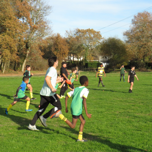 Image de Ecole de rugby 