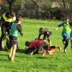 Image de Ecole de rugby 