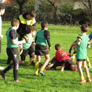 Image de Ecole de rugby 