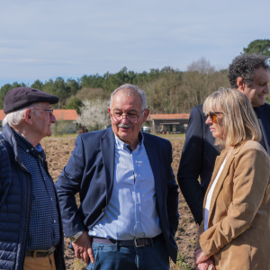 Image de Plantations des pins à Bretagne de Marsan