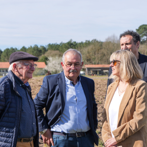 Image de Plantations des pins à Bretagne de Marsan