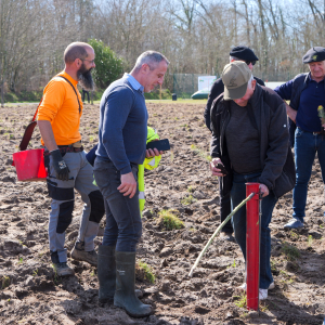 Image de Plantations des pins à Bretagne de Marsan