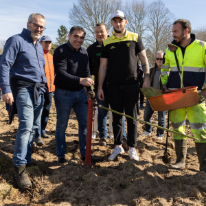 Image de Plantations des pins à Bretagne de Marsan - Cyrille VIDAL