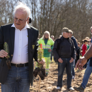 Image de Plantations des pins à Bretagne de Marsan - Cyrille VIDAL