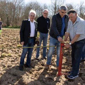 Image de Plantations des pins à Bretagne de Marsan - Cyrille VIDAL