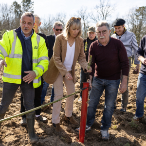 Image de Plantations des pins à Bretagne de Marsan - Cyrille VIDAL