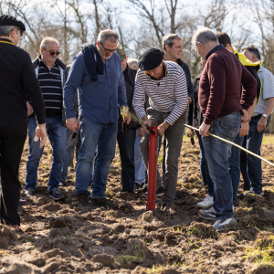 Image de Plantations des pins à Bretagne de Marsan - Cyrille VIDAL