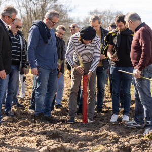 Image de Plantations des pins à Bretagne de Marsan - Cyrille VIDAL