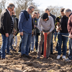 Image de Plantations des pins à Bretagne de Marsan - Cyrille VIDAL