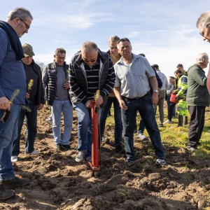 Image de Plantations des pins à Bretagne de Marsan - Cyrille VIDAL