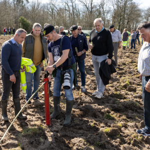 Image de Plantations des pins à Bretagne de Marsan - Cyrille VIDAL