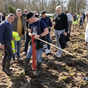 Image de Plantations des pins à Bretagne de Marsan - Cyrille VIDAL