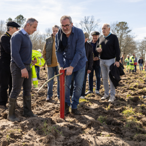 Image de Plantations des pins à Bretagne de Marsan - Cyrille VIDAL
