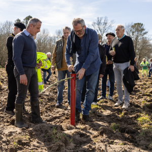 Image de Plantations des pins à Bretagne de Marsan - Cyrille VIDAL