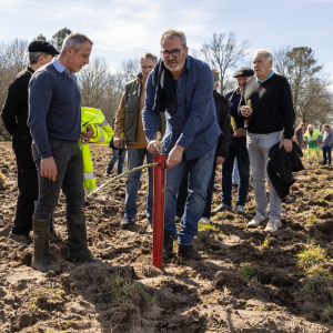 Image de Plantations des pins à Bretagne de Marsan - Cyrille VIDAL