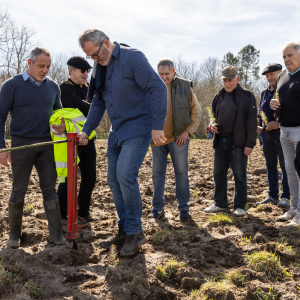 Image de Plantations des pins à Bretagne de Marsan - Cyrille VIDAL