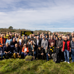 Image de Plantations des pins à Bretagne de Marsan - Cyrille VIDAL