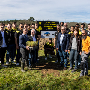 Image de Plantations des pins à Bretagne de Marsan - Cyrille VIDAL