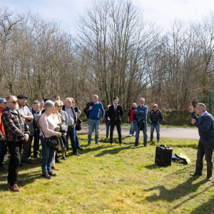 Image de Plantations des pins à Bretagne de Marsan - Cyrille VIDAL