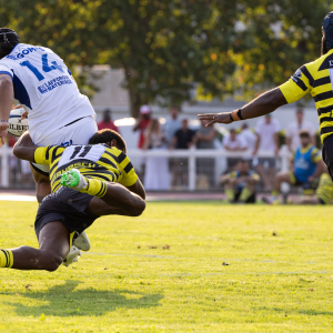 Image de Match Amical - vs Colomiers 14/08